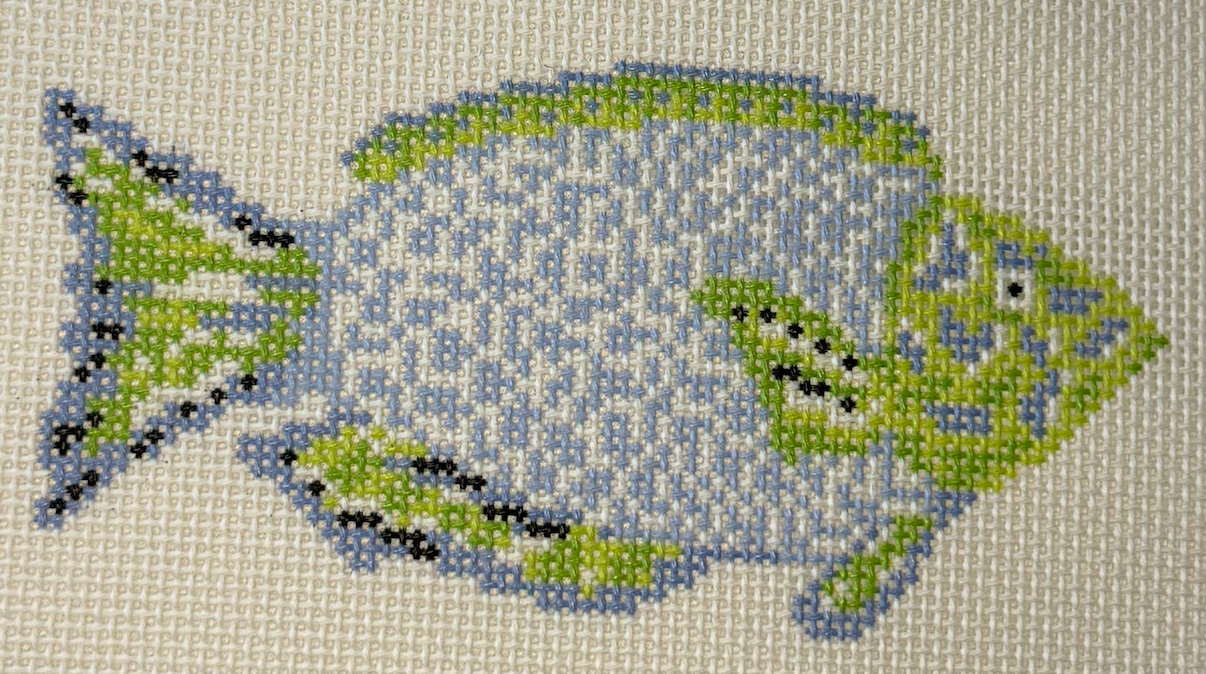 KCD2761 Blue and Green Parrotfish Canvas