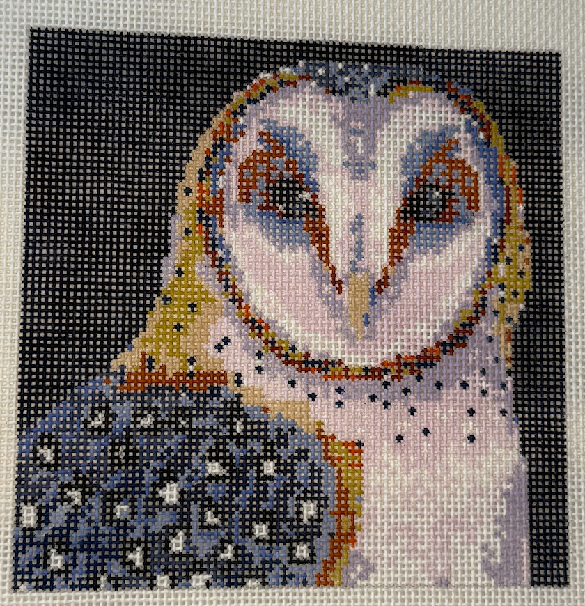 TA1039 Mini Barn Owl