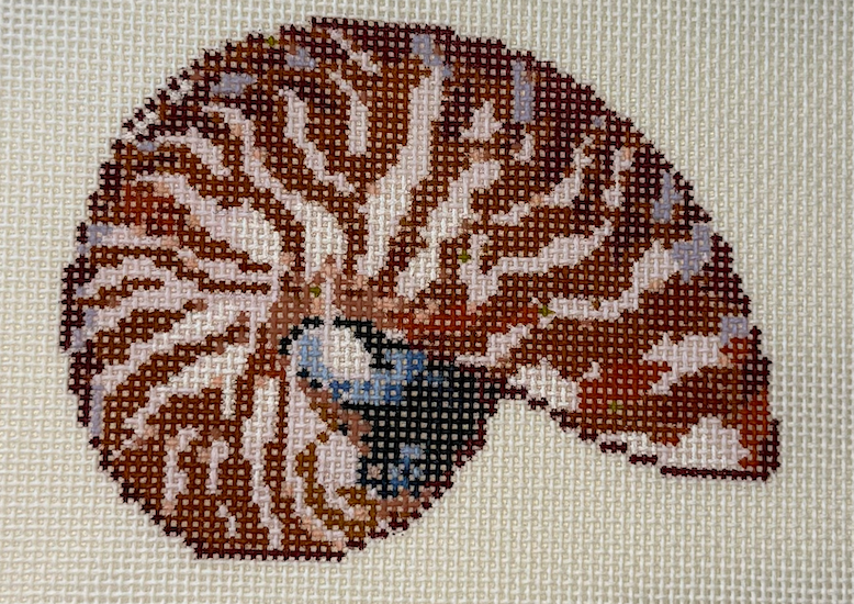 TA1040 Mini Nautilus - Terra Cotta