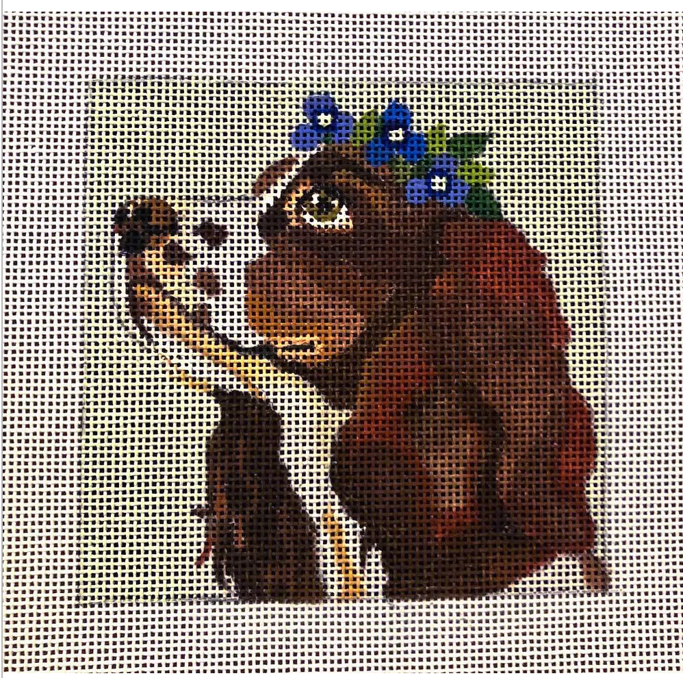 D15 Springer Spaniel