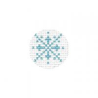 Snowflake Canvas TTF006