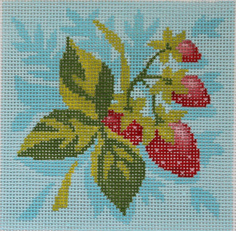 AC083 Fruit Square Strawberries
