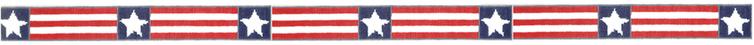 ©SWB 165 AMERICA BELT - TS