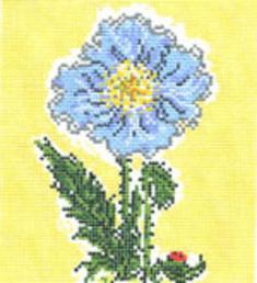 ©SWB 118 HIMALAYAN POPPY - TS
