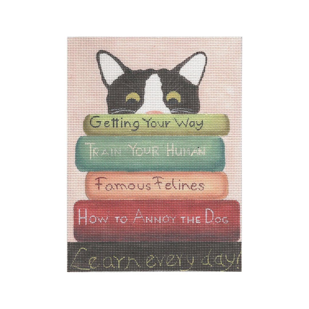 GD-PL 01 Cat with Books - TS