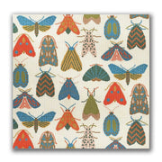 KR-PL 03 Colorful Moths - MKT3