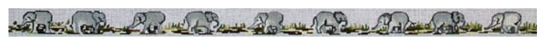 114a African Elephants Belt