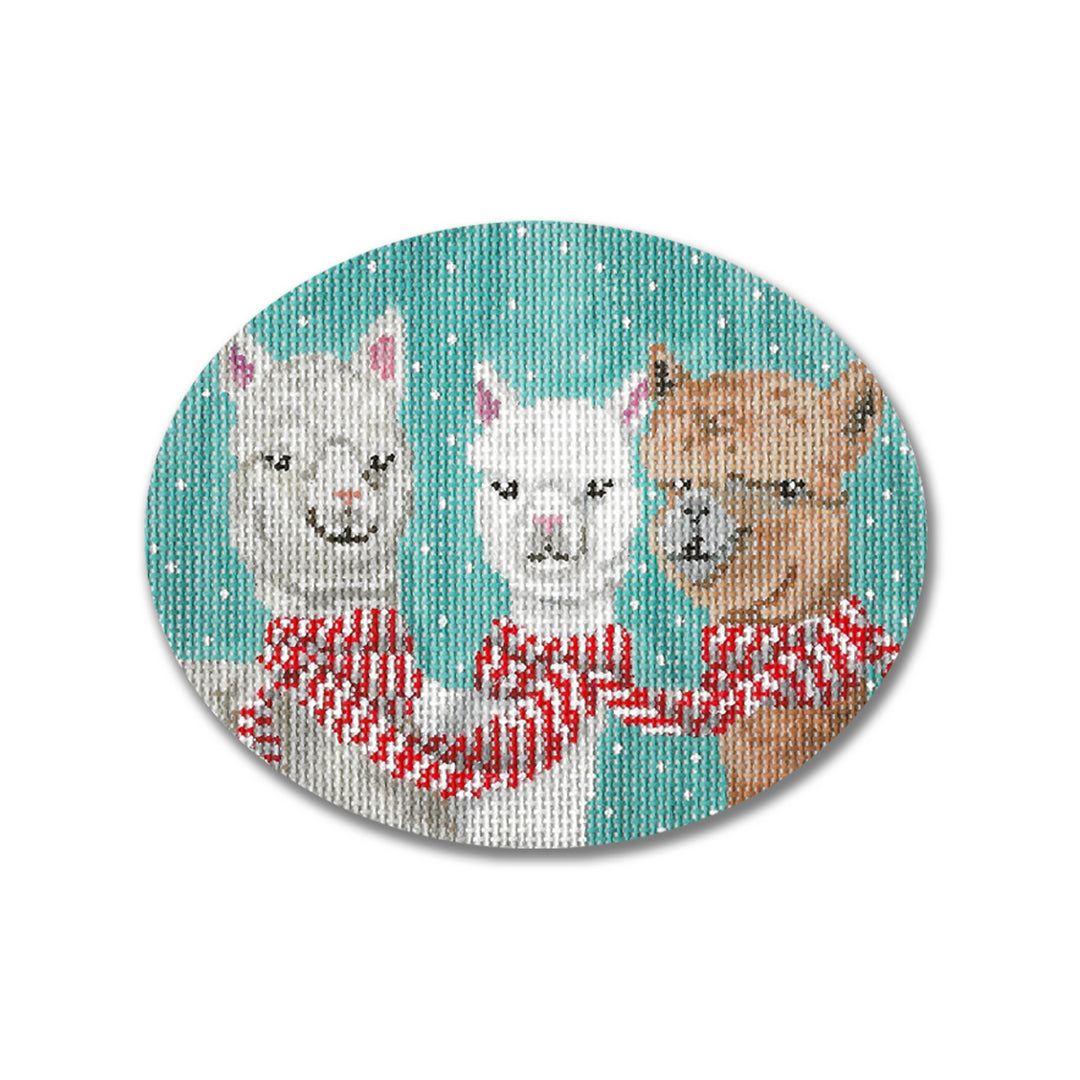 SC-XO78 Alpacas in Scarf