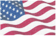 USA Flag Passport Cover Insert TTPC004